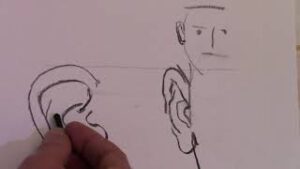 Malerei/Zeichnung - Portrait Basics - Das Ohr (Level 1)
