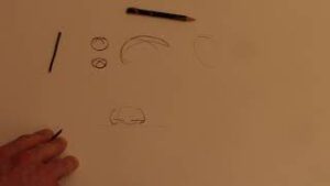 Malerei/Zeichnung - Portrait Basics - "Mit Brötchenlinien zum Nasenvolumen (Level 1-3)"