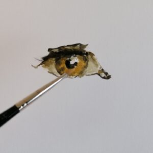 Das menschliche Auge in Acryl mit Verzögerer realistisch malen (Level 2-3)